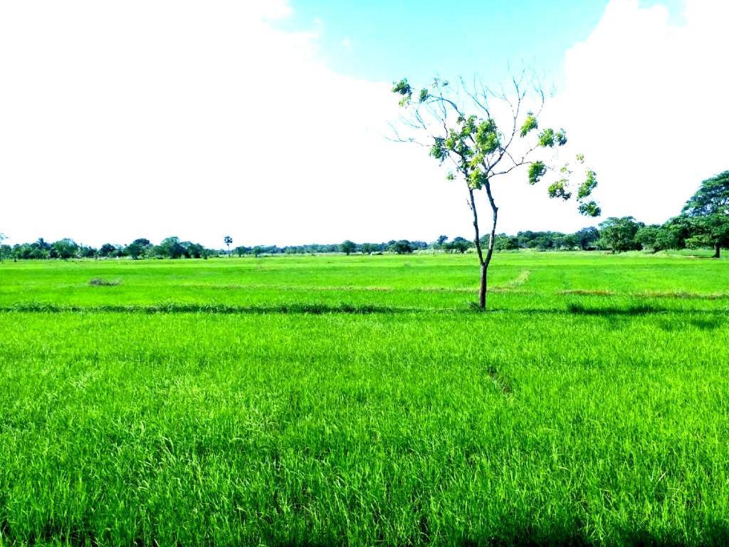Athyantha Resort Anuradhapura Bagian luar foto
