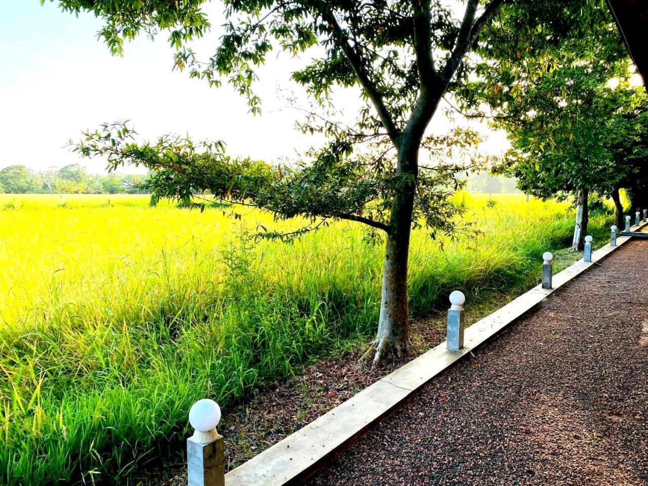 Athyantha Resort Anuradhapura Bagian luar foto